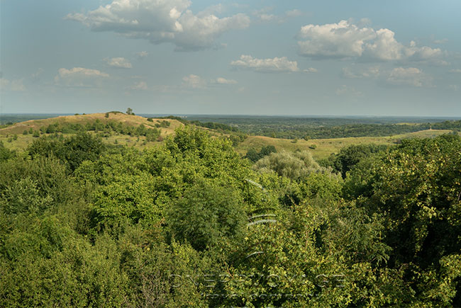 priroda v oposhne foto